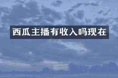 西瓜主播有收入吗现在