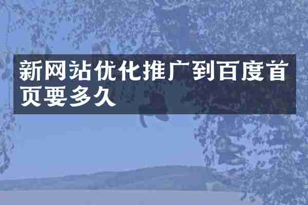 新网站优化推广到百度首页要多久
