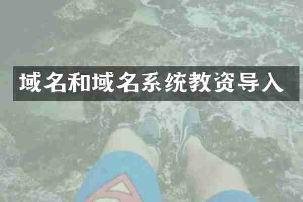 域名和域名系统教资导入