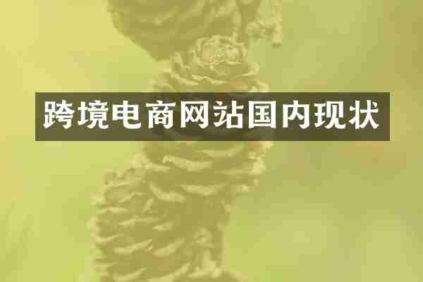跨境电商网站国内现状
