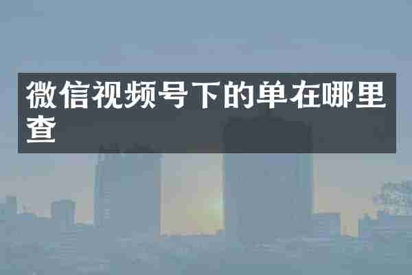 微信视频号下的单在哪里查