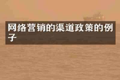 网络营销的渠道政策的例子