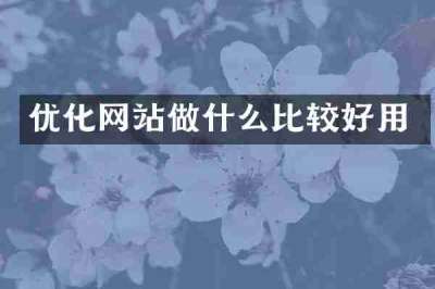优化网站做什么比较好用