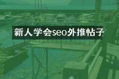 新人学会seo外推帖子