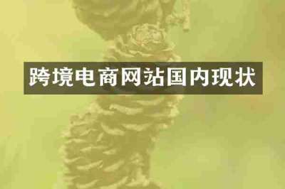 跨境电商网站国内现状