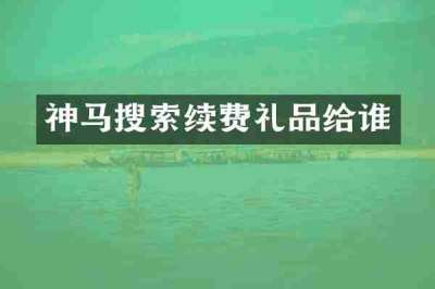 神马搜索续费礼品给谁