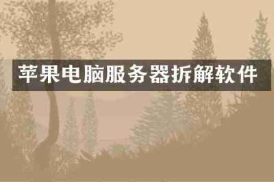 苹果电脑服务器拆解软件