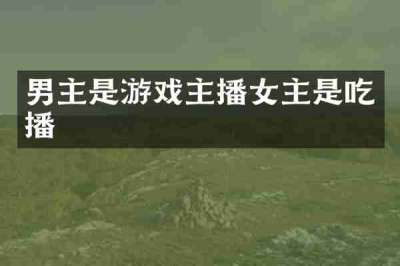 男主是游戏主播女主是吃播