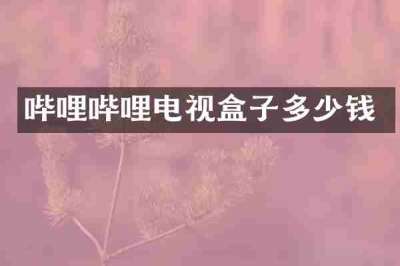 哔哩哔哩电视盒子多少钱