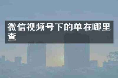 微信视频号下的单在哪里查