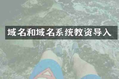 域名和域名系统教资导入
