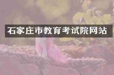 石家庄市教育考试院网站
