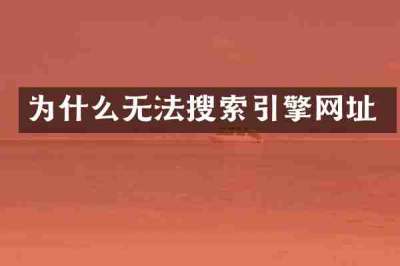 为什么无法搜索引擎网址