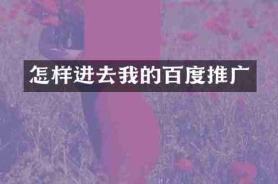 怎样进去我的百度推广