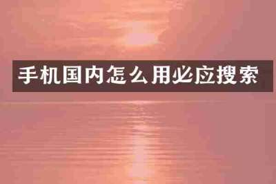 手机国内怎么用必应搜索