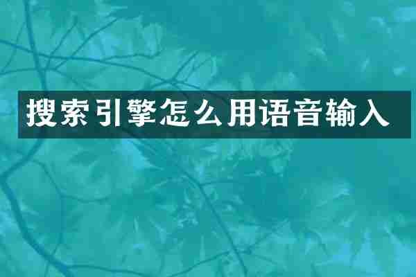 搜索引擎怎么用语音输入