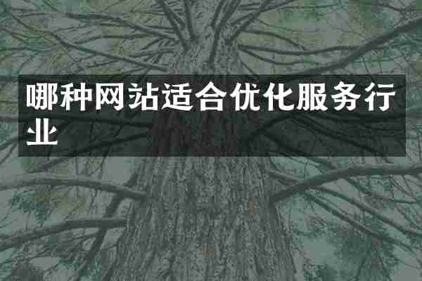 哪种网站适合优化服务行业