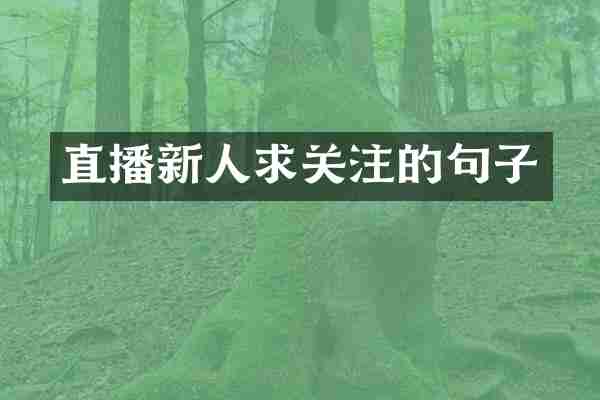 直播新人求关注的句子
