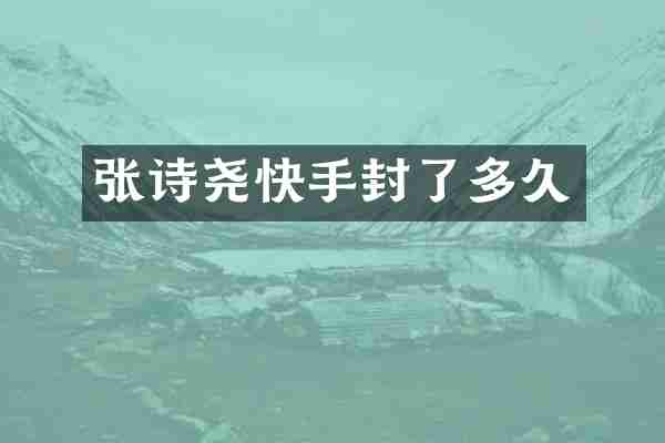 张诗尧快手封了多久