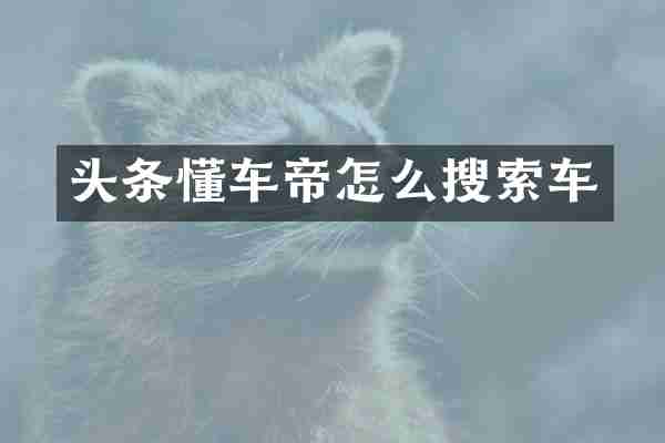 头条懂车帝怎么搜索车