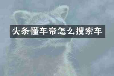 头条懂车帝怎么搜索车