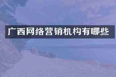 广西网络营销机构有哪些