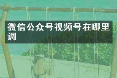 微信公众号视频号在哪里调