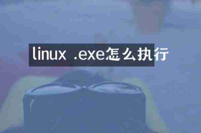 linux .exe怎么执行