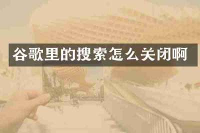 谷歌里的搜索怎么关闭啊
