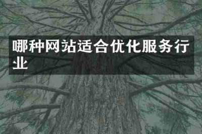 哪种网站适合优化服务行业