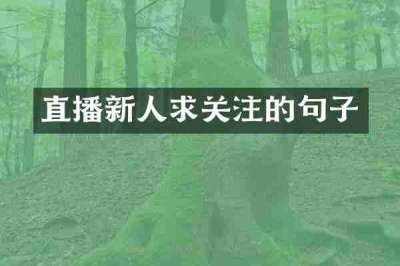 直播新人求关注的句子