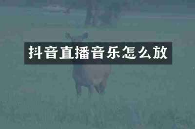 抖音直播音乐怎么放