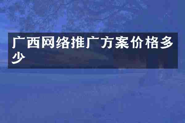 广西网络推广方案价格多少