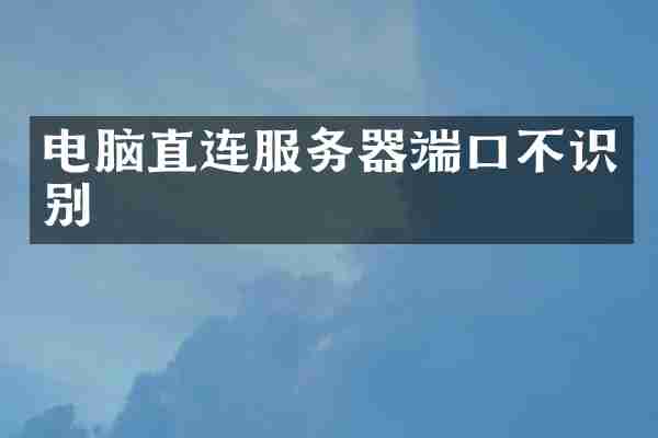 电脑直连服务器端口不识别