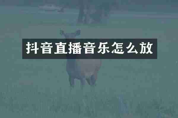 抖音直播音乐怎么放