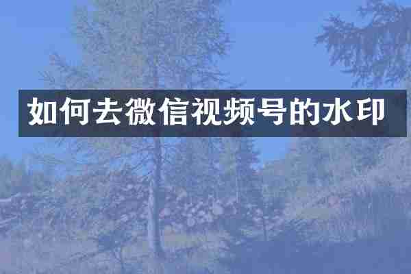如何去微信视频号的水印
