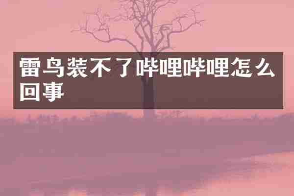 雷鸟装不了哔哩哔哩怎么回事