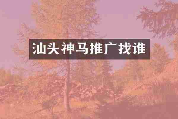 汕头神马推广找谁