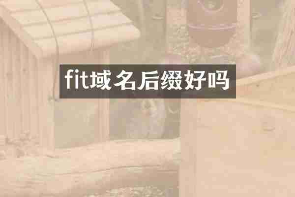 fit域名后缀好吗