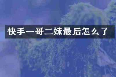快手一哥二妹最后怎么了