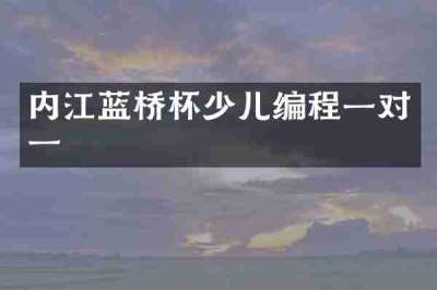 内江蓝桥杯少儿编程一对一