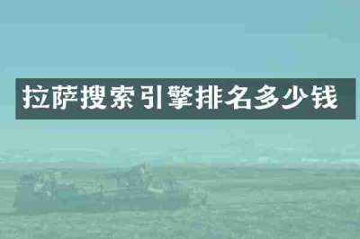 拉萨搜索引擎排名多少钱