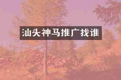 汕头神马推广找谁
