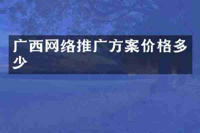 广西网络推广方案价格多少