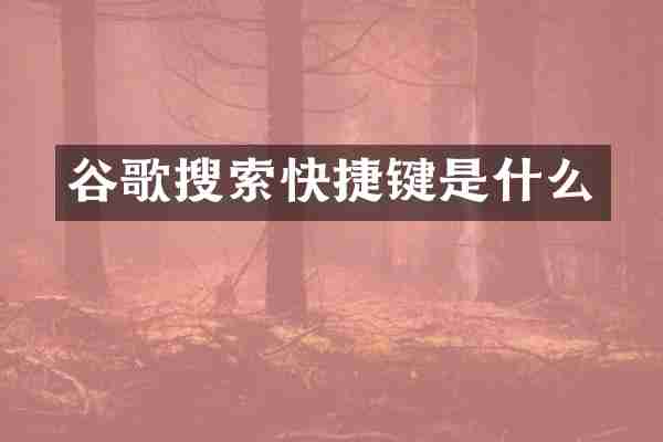 谷歌搜索快捷键是什么