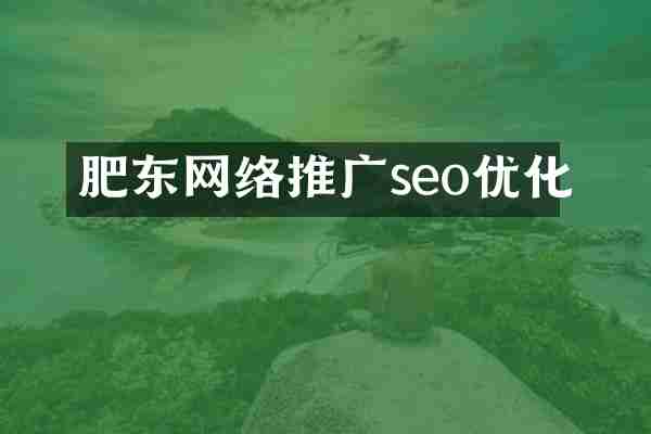 肥东网络推广seo优化