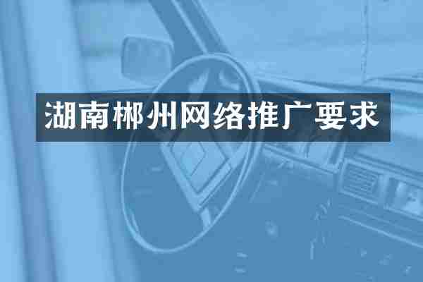 湖南郴州网络推广要求