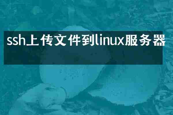 ssh上传文件到linux服务器上