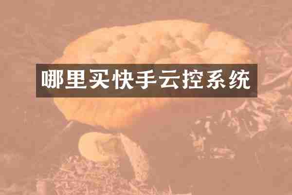 哪里买快手云控系统