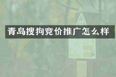 青岛搜狗竞价推广怎么样
